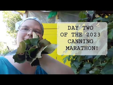 Canning Marathon Day 2 