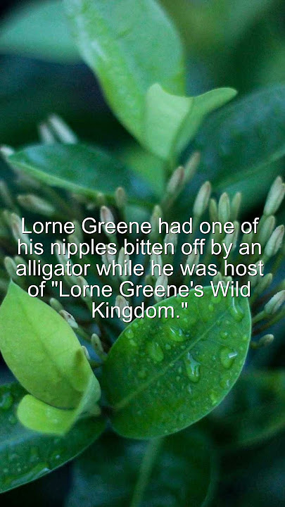 Did You Know? Lorne Greene had one of his nipples bitten off by an... #Shorts