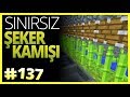 SINIRSIZ ŞEKER KAMIŞI, Otomatik Redstone Sistemi - Minecraft Türkçe Survival - Bölüm 137