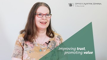 What skills does a performance auditor need to have?