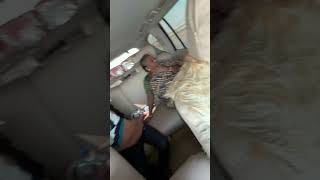 Dubai to chennai travel #cutebaby #vikramvibes #vikramvibes #lovesongs #lovesongs #automobile #baby