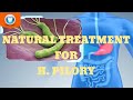 How To Treat H. pylori Naturally