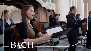 Download Lagu Bach - Cantate Ich glaube, lieber Herr, hilf meinem Unglauben BWV 109 | Nederlandse Bachvereniging MP3 Download Lagu Bach - Cantate Ich glaube, lieber Herr, hilf meinem Unglauben BWV 109 | Nederlandse Bachvereniging MP3