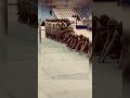 🗡️comando ka training ⚔️# video इन्डियन आर्मी शॉर्ट video ⚔️