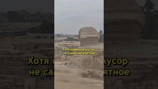 Египетские пирамиды это большой общественный туалет  #египет #гиза #каир #египетскаясила #пирамиды