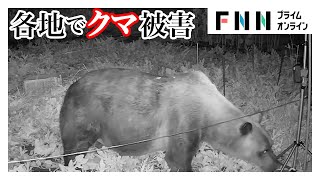FNNプライムオンラインの配信のサムネイル画像