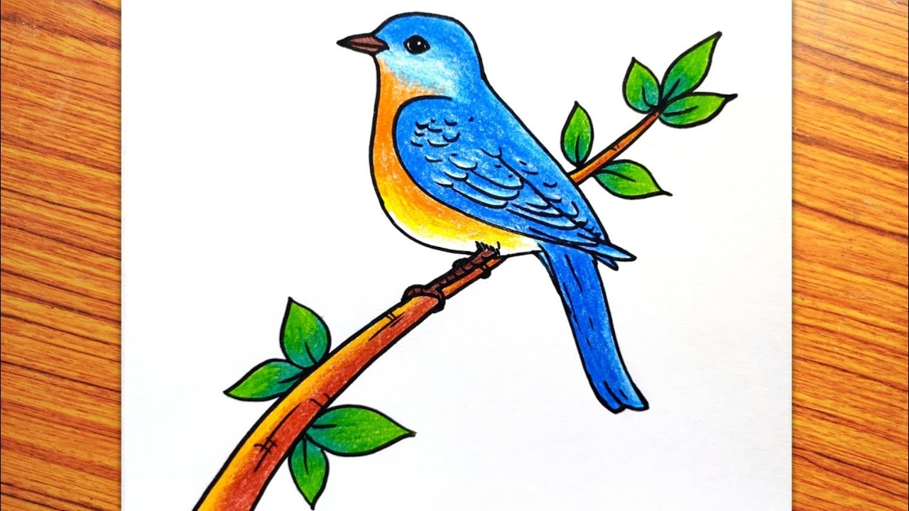 Coloring Page Free Printable Picture Of Cute Tiny Birds Coloring Pages Bird  With Eyes Outline Sketch Drawing Vector, Bird Drawing, Wing Drawing, Birds  Drawing PNG and Vector with Transparent Background for Free