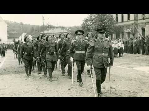 Video: Muzeul Gloriei Militare. Muzeul Marelui Război Patriotic