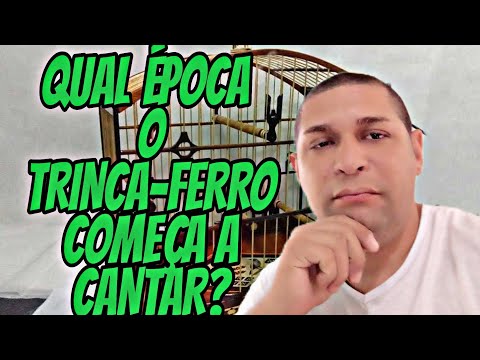 Qual a época o trinca-ferro começa a cantar?