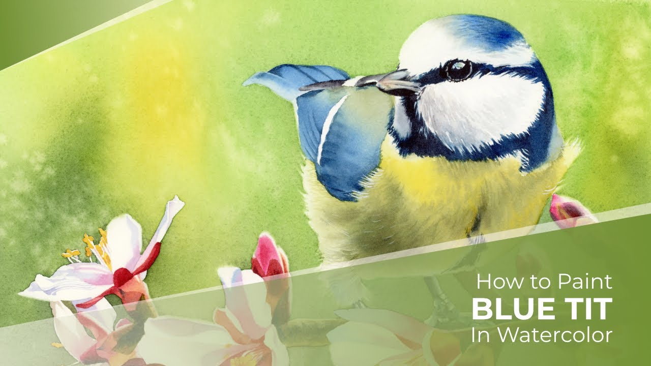 How to Paint Blue Tit in Watercolor - Tutorial Preview
