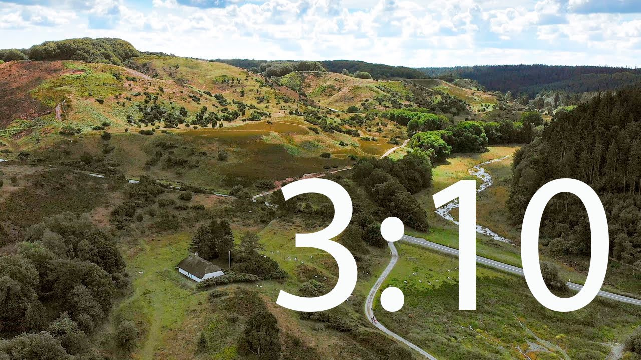 Rold Skov i fugleperspektiv - del 3