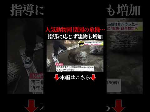 👆本編はこちら👆“近距離＆触れ合い”が人気のノースサファリサッポロに閉園危機…札幌市が『撤去命令』検討「無許可の建築物が100以上！例を見ない」 北海道