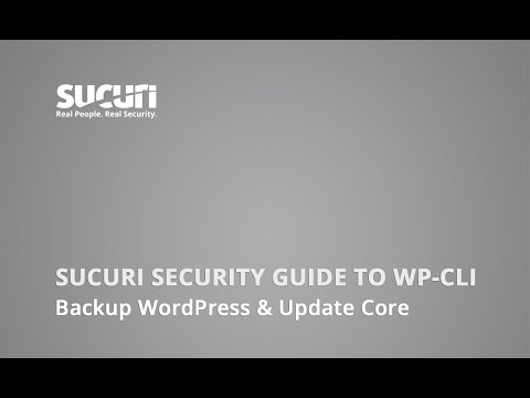WordPress CLI (WP-CLI): How to Backup WordPress & Update Core