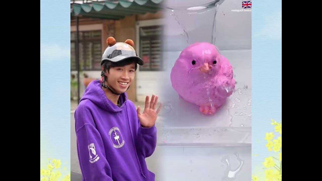 🤣👌👌👌2026 Đáng xem Tuyển tập những clip điên rồ không thể bỏ lỡ #humor #fypシ #pov #fyp #foryou😍😜