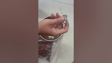 Cách dùng bộ lưỡi câu cá mương đơn giản và hiệu quả .