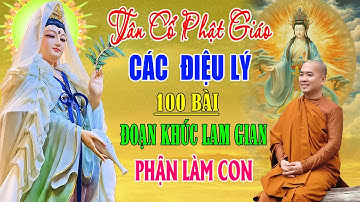 Tân Cổ Phật Giáo - Các Điệu Lý #ĐoạnKhúcLamGian #PhậnLàmCon -Tuyển Tập Hay Nhất 2023 -Cs Ân Thiên Vỹ