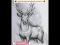 Animal shading drawing