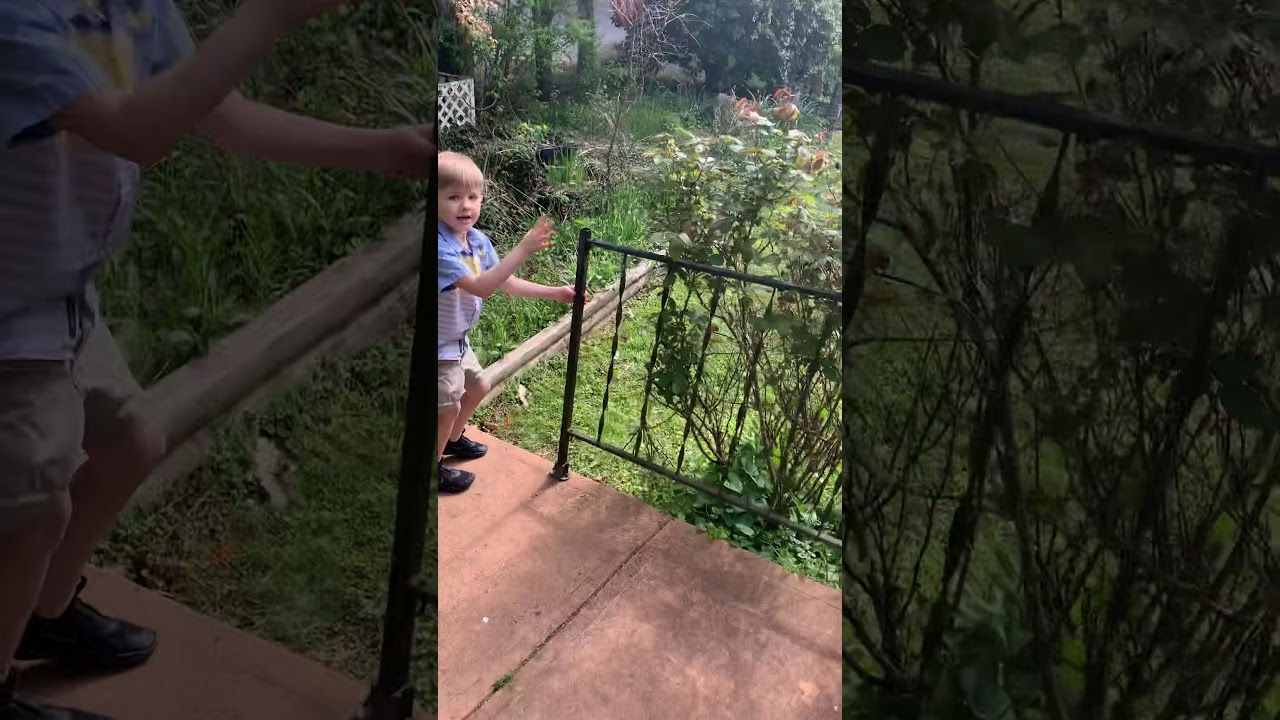 Easter bunny visits Ethan 😱😱