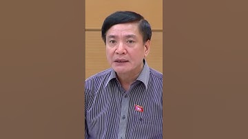 Quốc hội gỡ khó "thuế tối thiểu toàn cầu" cho doanh nghiệp FDI | Truyền hình Quốc hội Việt Nam