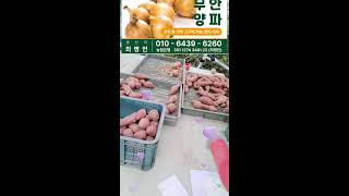 #밤👍꿀고구마👍양파#직거래판매#농산물비싸죠##미소농장