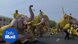 Majestic elephants march and bow in tribute to Thailand's new king