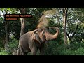Honouring the life of an elephant in Thailand