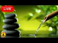 🔴 Relaxing Music 24/7, Healing Music, Meditation Music, Spa Music, Sleep, Zen, Study Music, Yoga