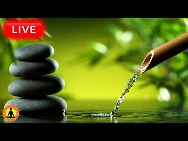 🔴 Relaxing Music 24/7, Healing Music, Meditation Music, Spa Music, Sleep, Zen, Study Music, Yoga class=