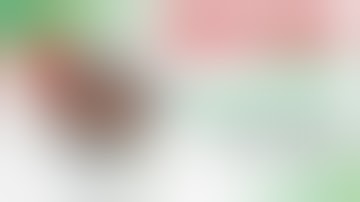 Brain Fog? These Supplements Can Help!