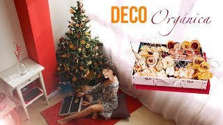 Decoración ORGÁNICA: CÓMO SECAR FRUTA EN CASA | DIY Christmas Tree Lighting