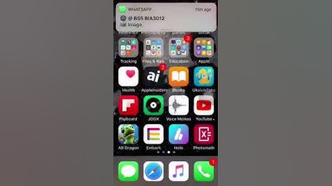 iOS 11 bugs.