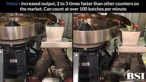 BatchMasterIV 5 gate Counter