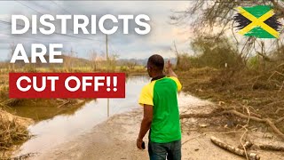 видео: После урагана в Трелони — Флоренс-холл, Виста, обновление Баунти-холла картинка: После урагана в Трелони — Флоренс-холл, Виста, обновление Баунти-холла