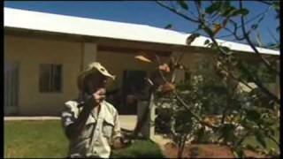 Mark Oshea In Namibia Part 2