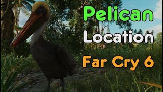 Far Cry 6 - Pelican location - Feed the pelicans mission.