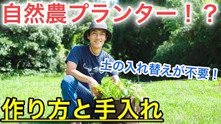 プランターでも自然農 土の入れ替え不要なプランターの作り方と手入れのポイント 土の再生不要 Youtube