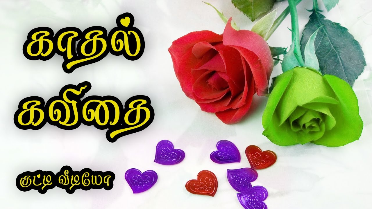 Kadhal kavithai in tamil Love Quotes in Tamil Whatsapp Video 034 ðŸŒ¹ðŸ’œâ¤ðŸ’•