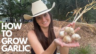 HOW TO GROW GARLIC | From Seeding to Harvest, Tips, Tricks, and Lessons