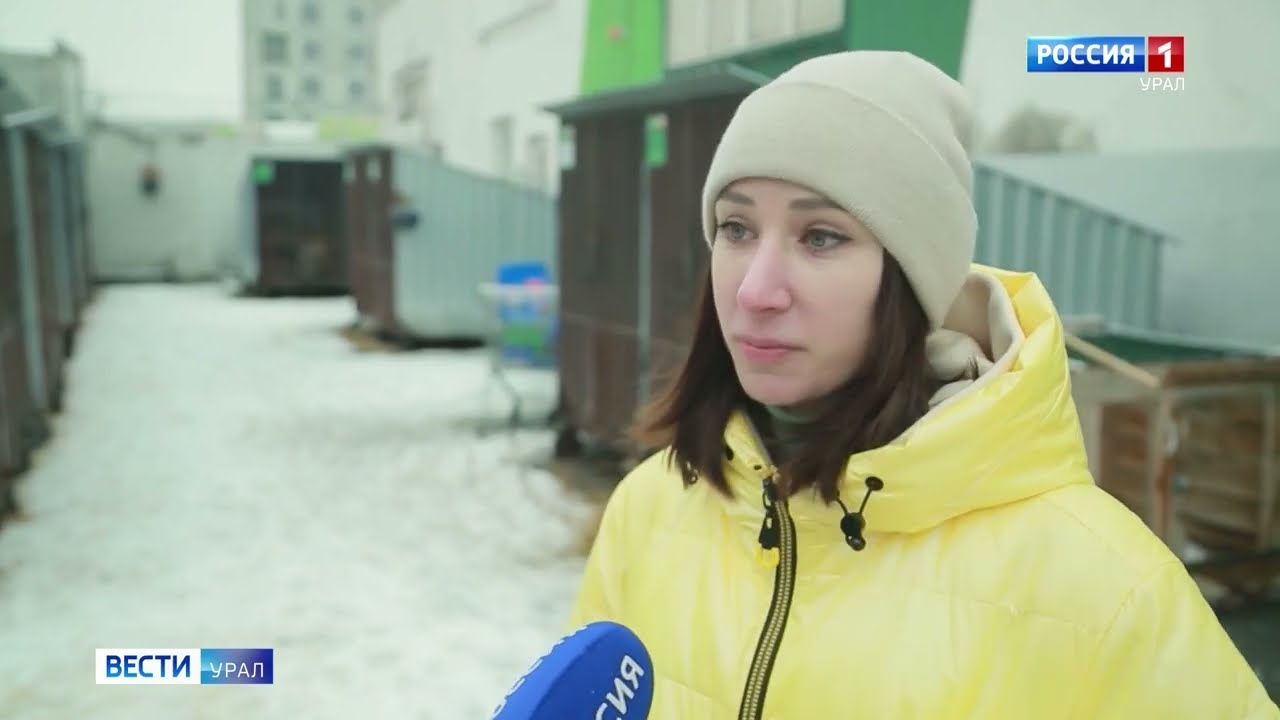 Зоопсихолог рассказала, как перебороть страх боязни собак