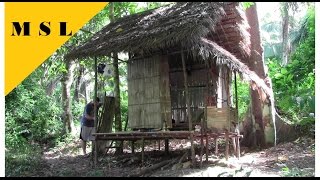 Dschungel Bushcraft, Hütte Bauen - Jungle Bushcraft, Building a Hut 3