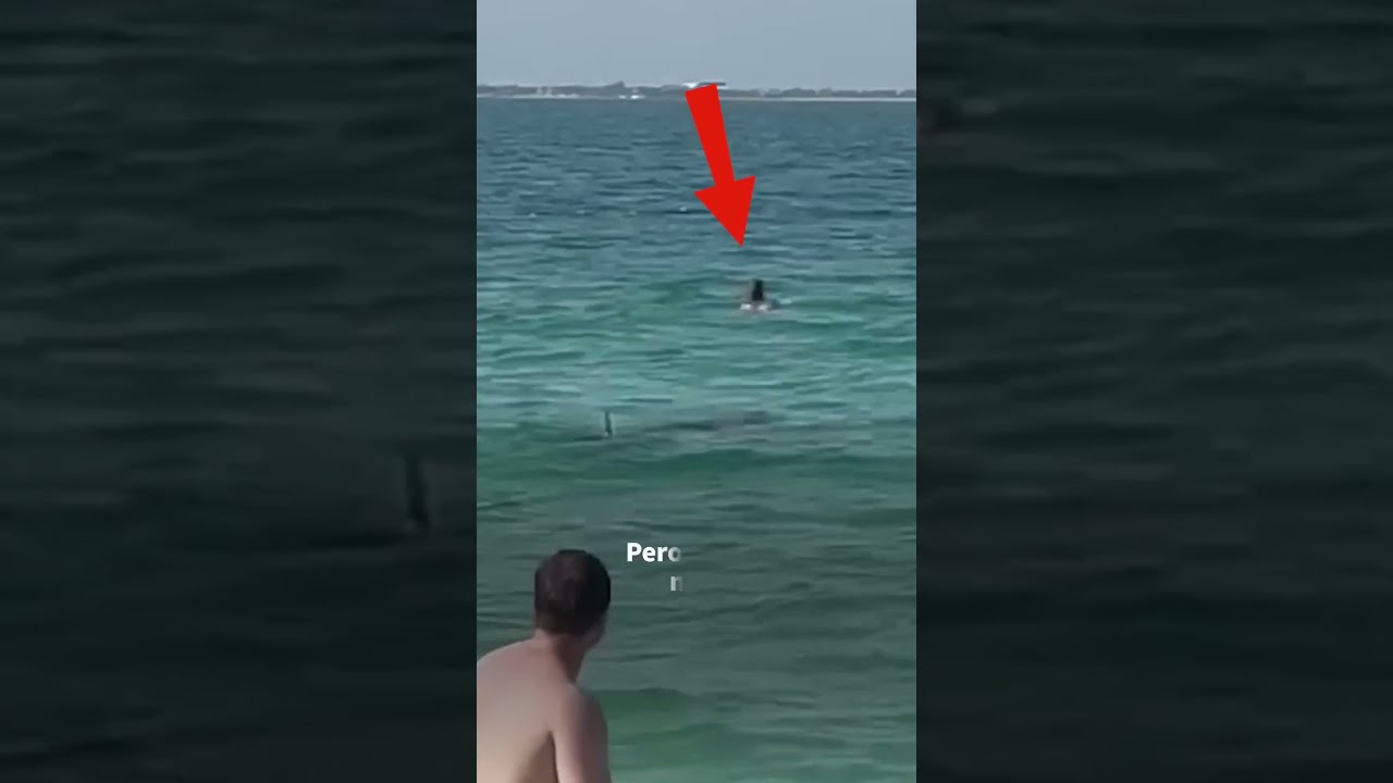 ¡Para esta chica ya es demasiado tarde para huir del tiburón! 🦈🏊🏼‍♀️😨 #shorts
