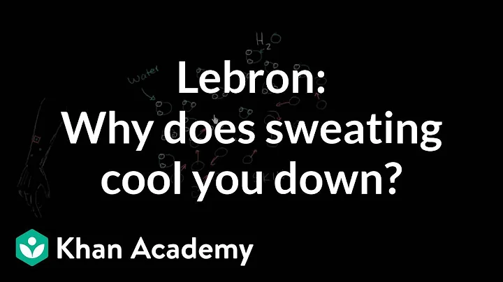 LeBron Asks: Why does sweating cool you down? | NCLEX-RN | Khan Academy - DayDayNews