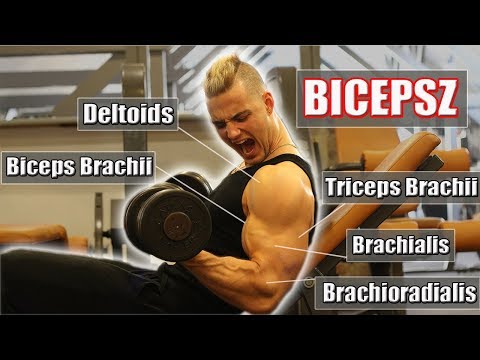 Videó: Mi A Legjobb Módja A Bicepsz építésének