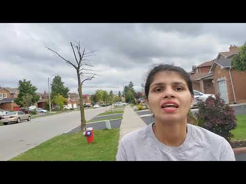 Video: Sagen Om Den Besatte Esther Fra Den Canadiske By Amherst - Alternativ Visning