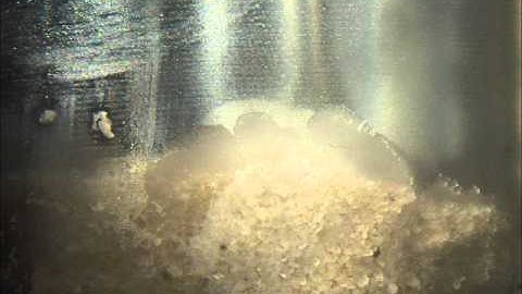 2014_07_CES_Babu et al Supporting Video 2