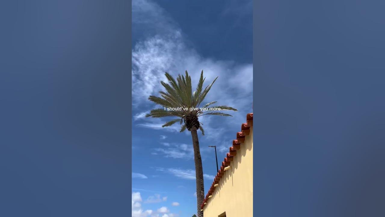 BAD BUNNY- DTMF What a GOOD song🤗🤗#viralvideos viralvideos #trendingshort #fypyoutube #shortsfeed