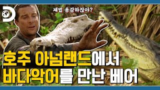 베어 : 얜 좀 평범하네? 🐊악어 : 앜ㅋㅋ엌ㅋㅋ 🐍물뱀 : 근데 왜 우리가 먹혀? 호주 야생으로 간 베어그릴스! [Man VS Wild]