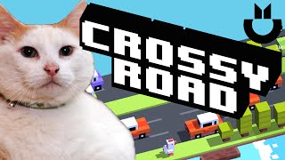 CROSSY ROAD Endless Arcade Hopper Game | Computers Are Punk screenshot 1