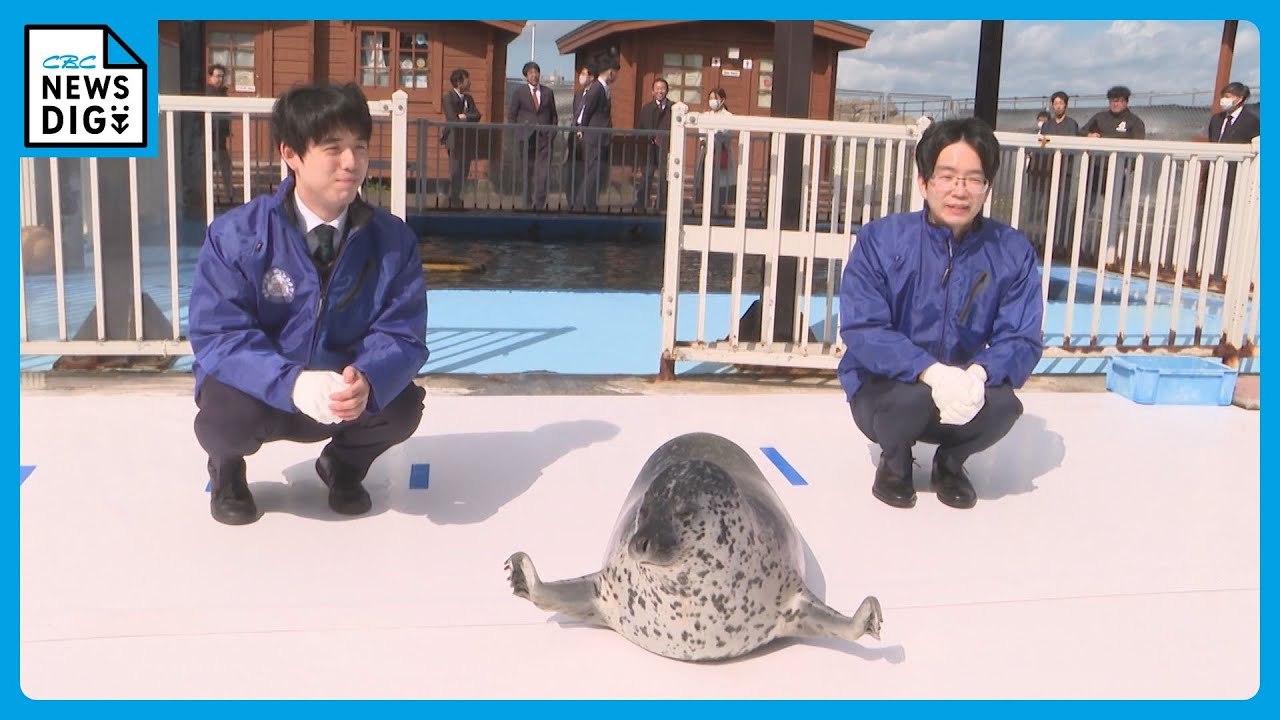 対局室に「しろたん」巾着を持ちこむほど…“アザラシ大好き”藤井聡太八