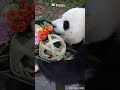 Just Take A Bite First And See | iPanda #shorts
